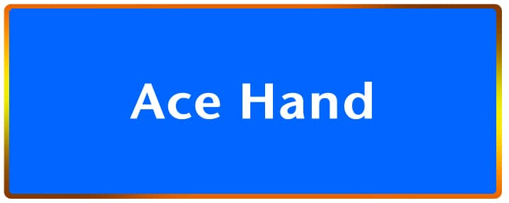 Ace Hand Program Home Button